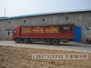 廠(chǎng)容廠(chǎng)貌